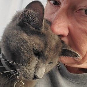 Meet your Posher, Posh